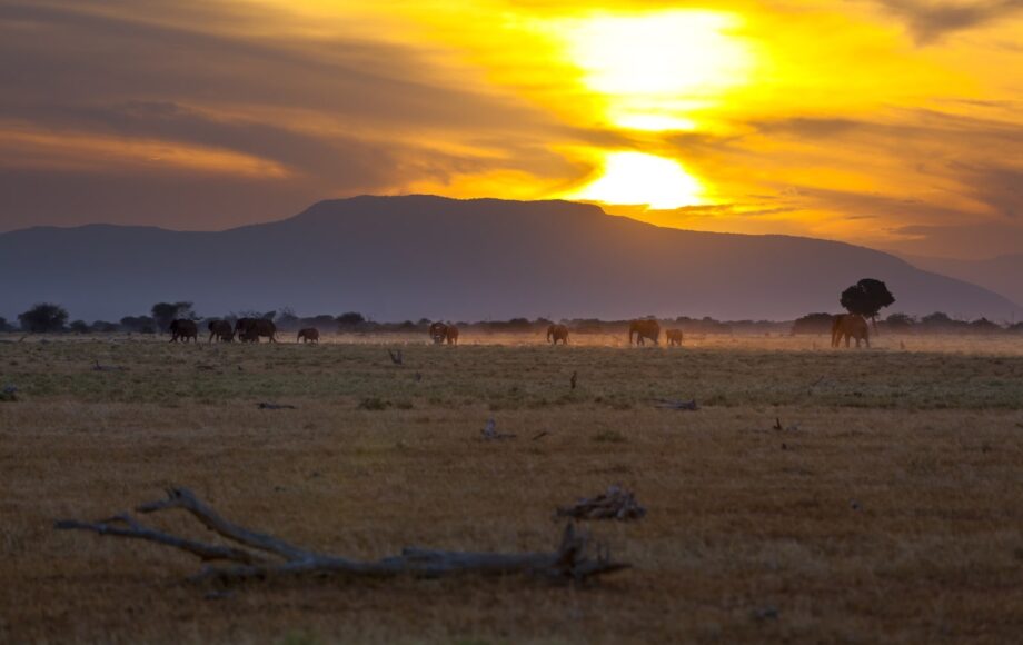 Atardecer en el Parque Nacional de Tsavo East