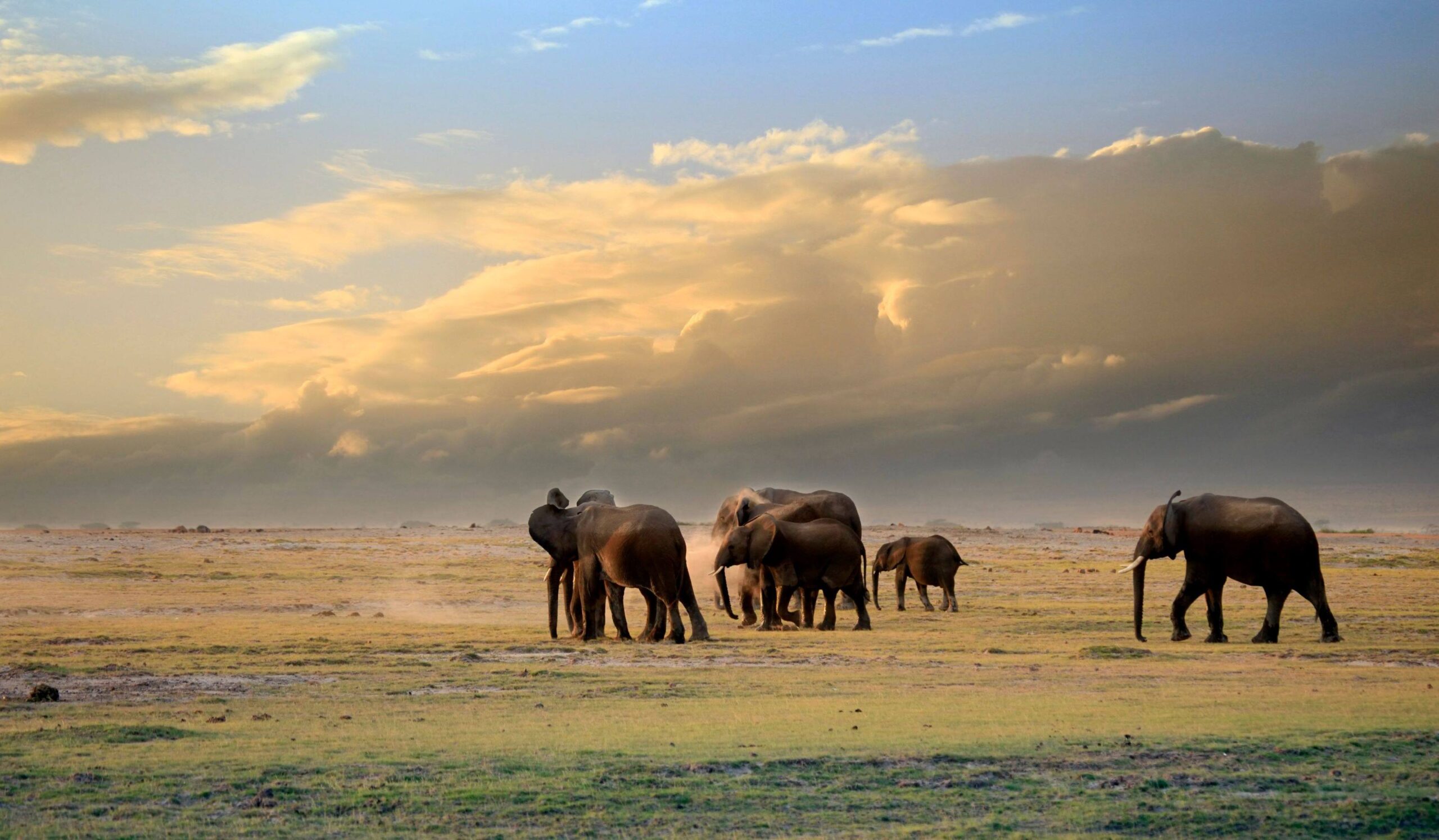 Parque Nacional de Amboseli