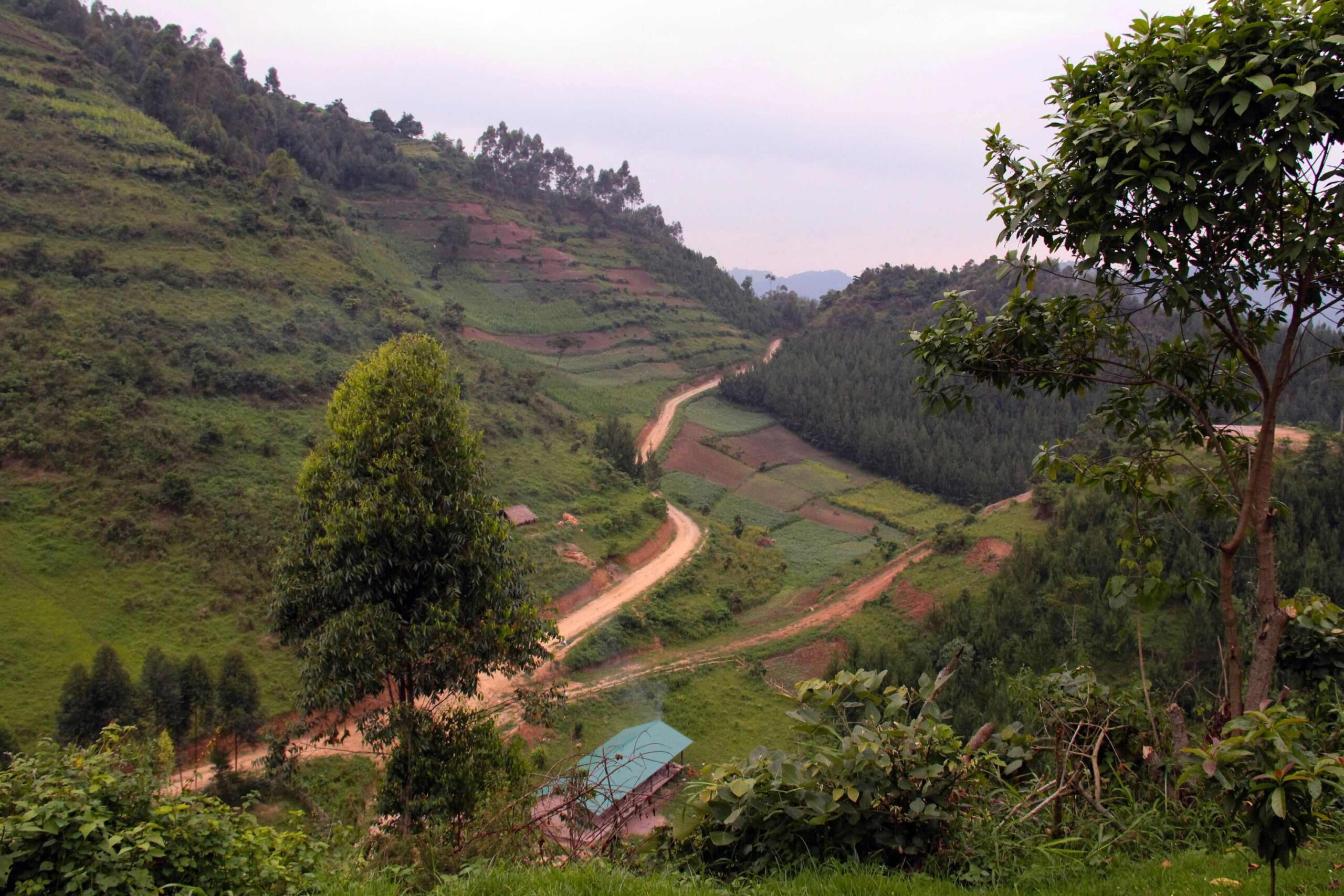 Trayecto en coche desde Entebbe / Kampala hasta el Parque Nacional de Bwindi