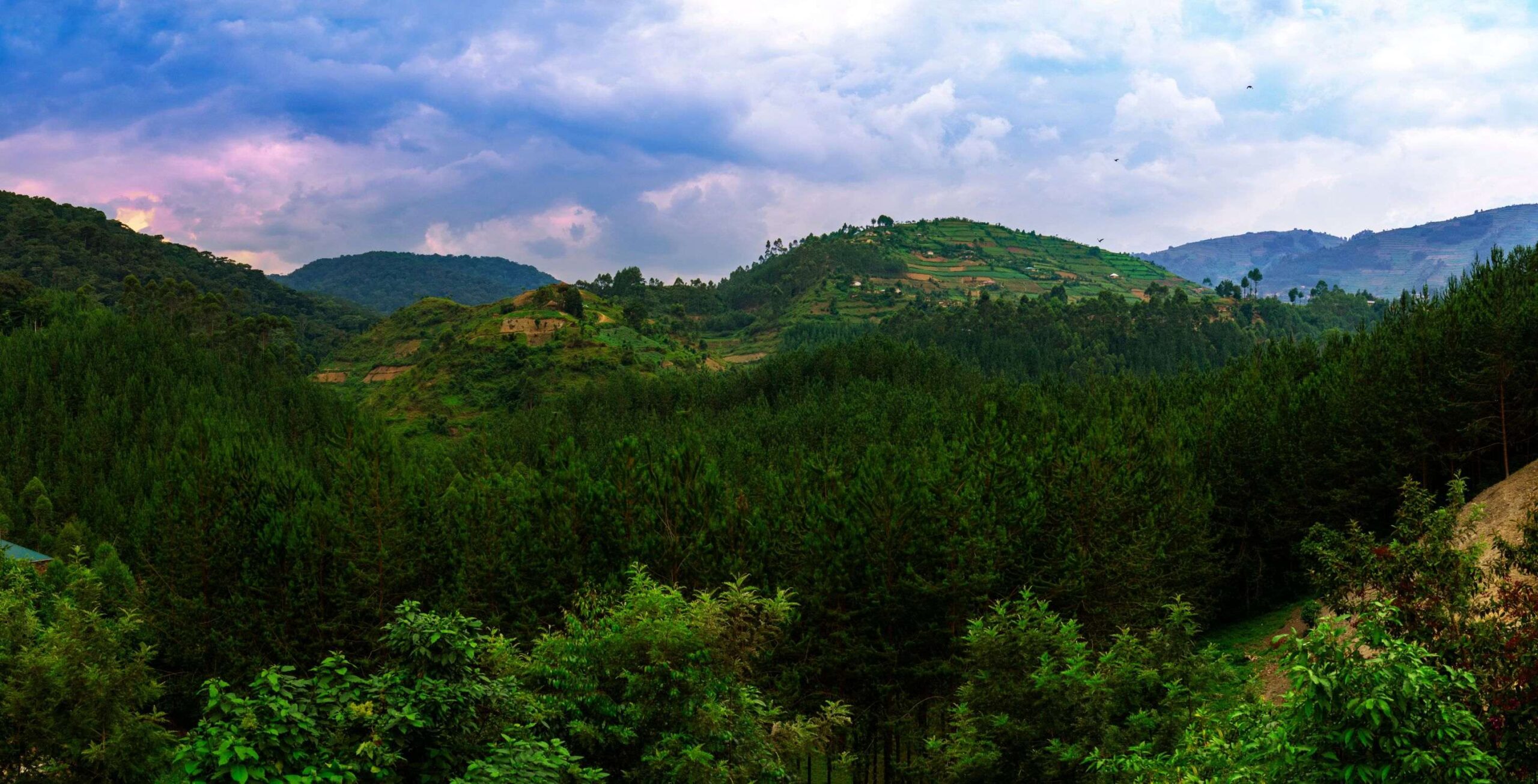 Parque Nacional de la Selva Impenetrable de Bwindi