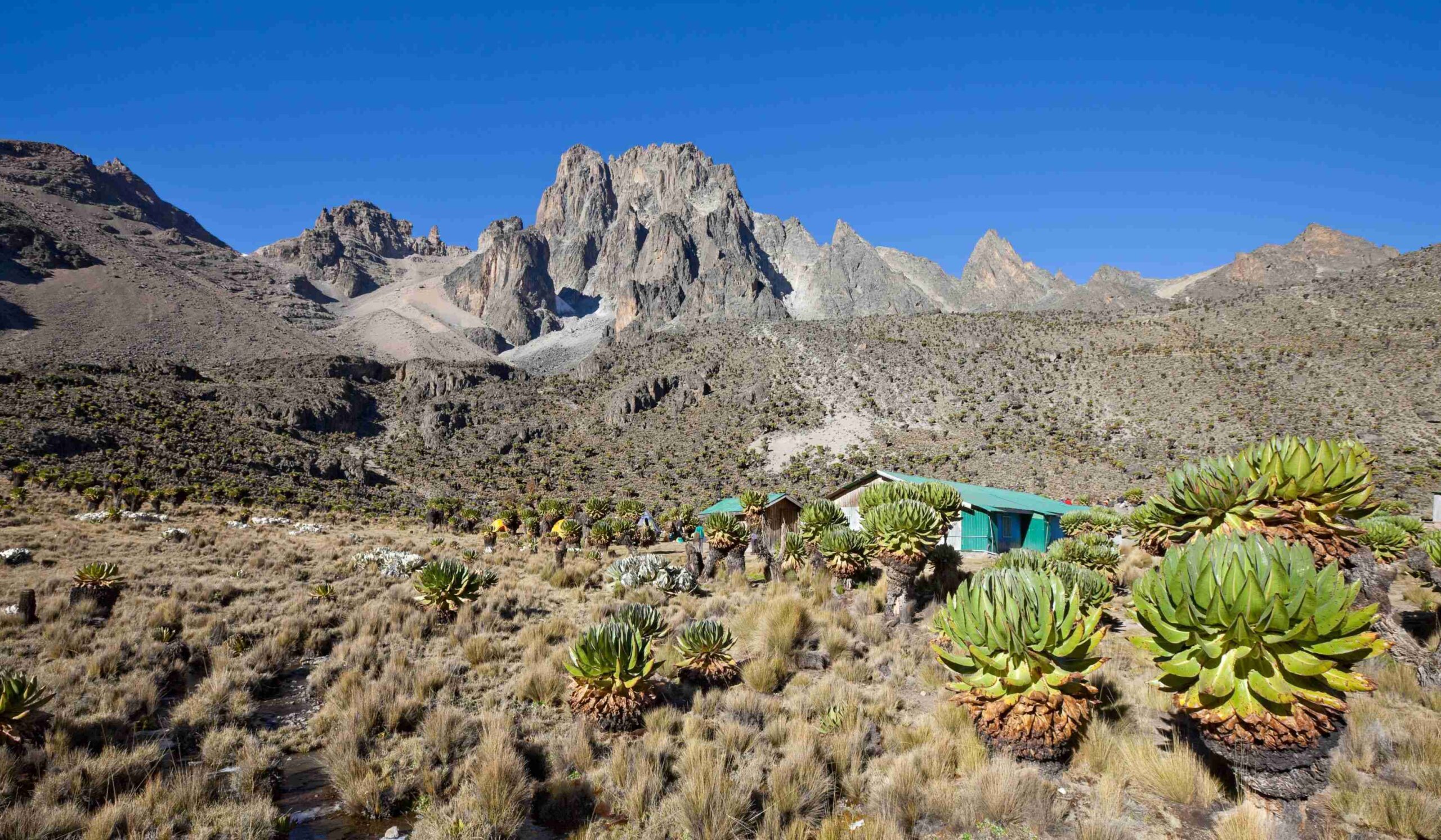 Ruta Sirimon (5 días). Día 3: día de aclimatación en Shipton's Camp (4200 m)