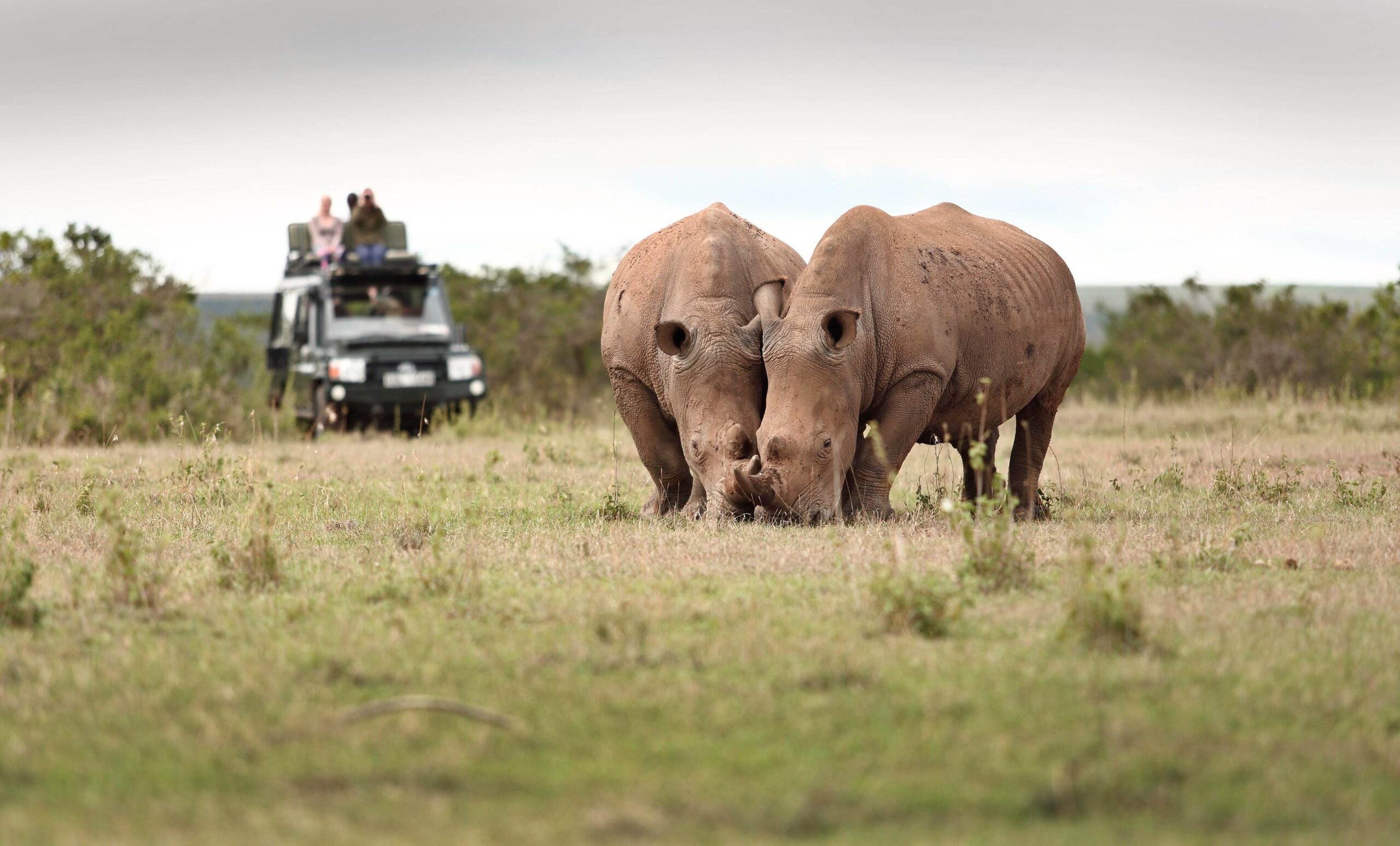 Solio Ranch Conservancy