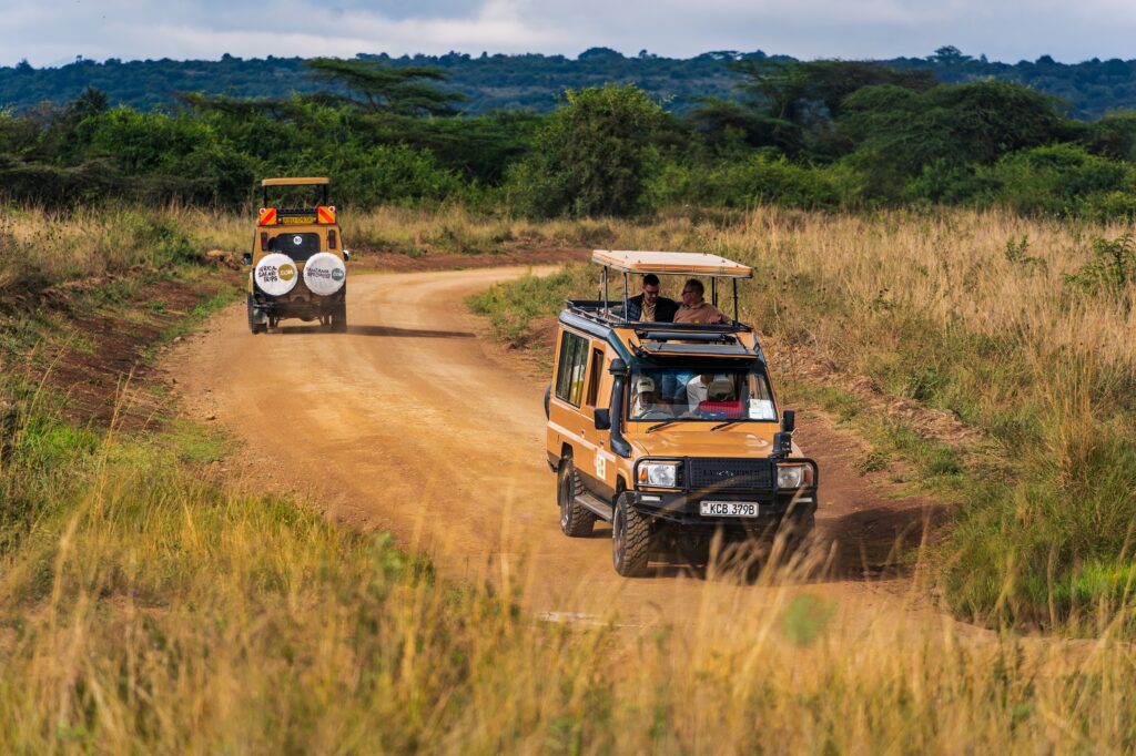 Safari Africano jeep