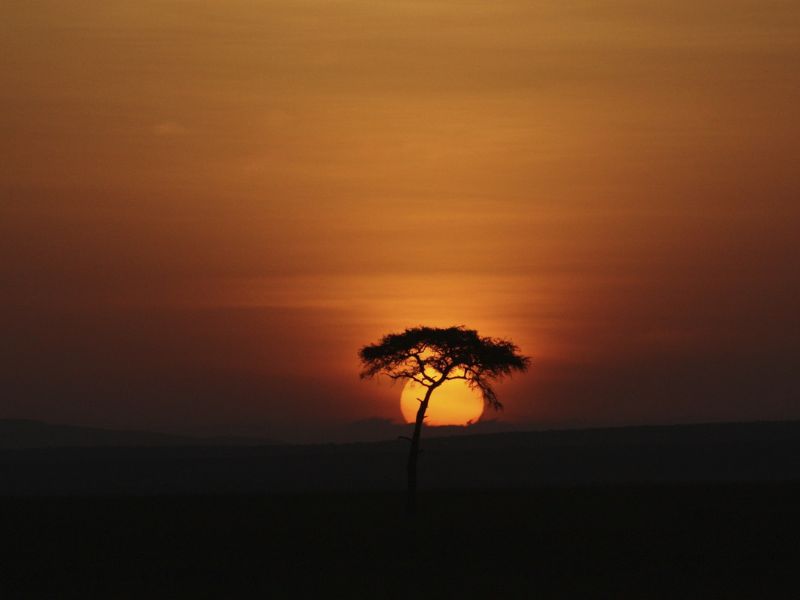 cuanto cuesta safari en Kenia