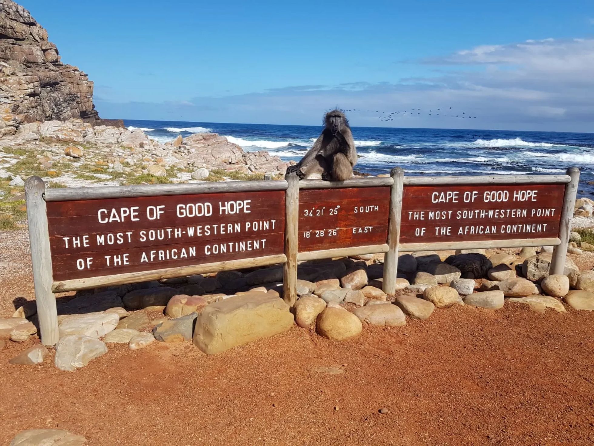 El Cabo de Buena Esperanza, el Cabo Point y los pingüinos africanos