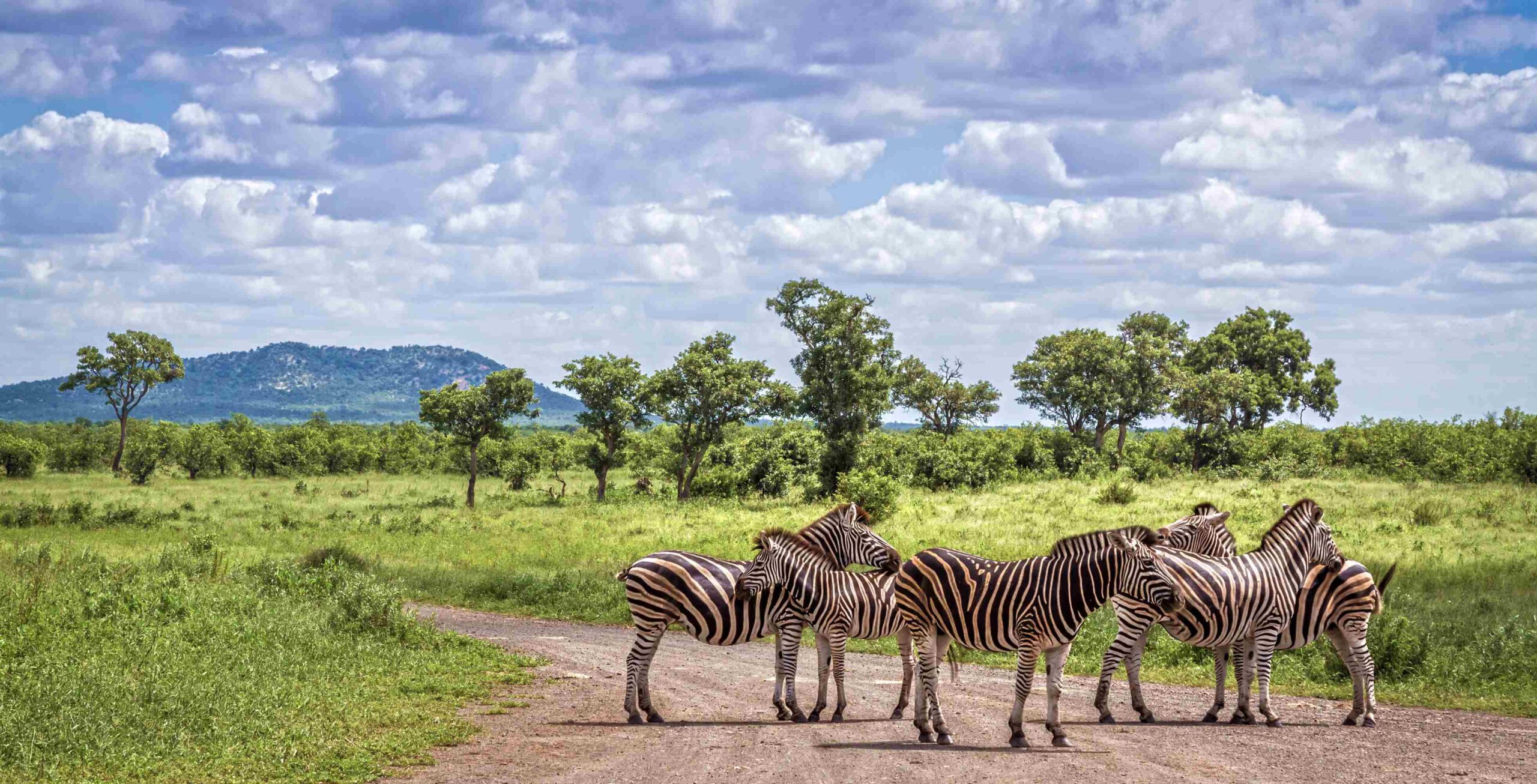 Parque Nacional Kruger
