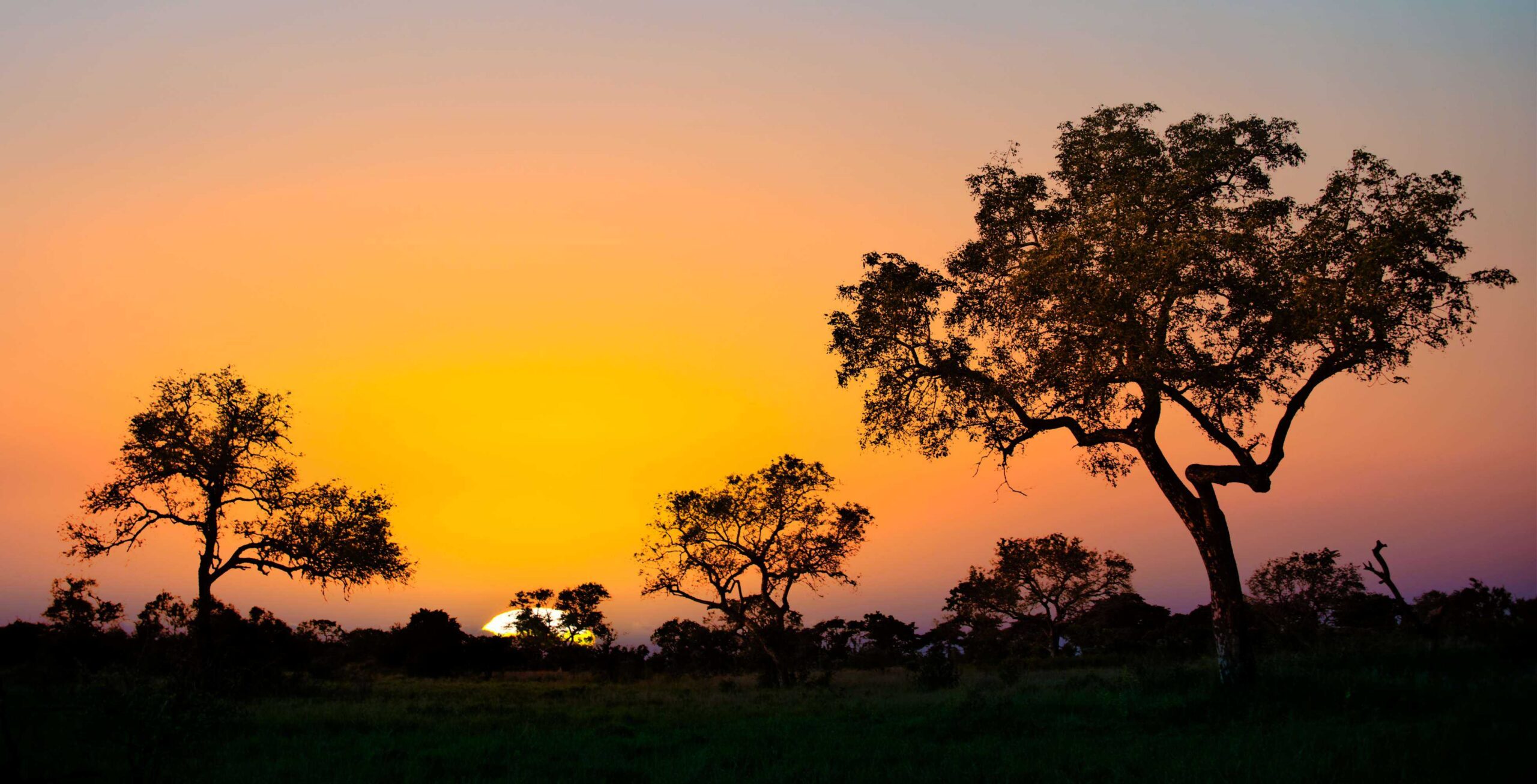 Trayecto de Mbombela (Nelspruit) al Parque Nacional Kruger (entrada Malelane)