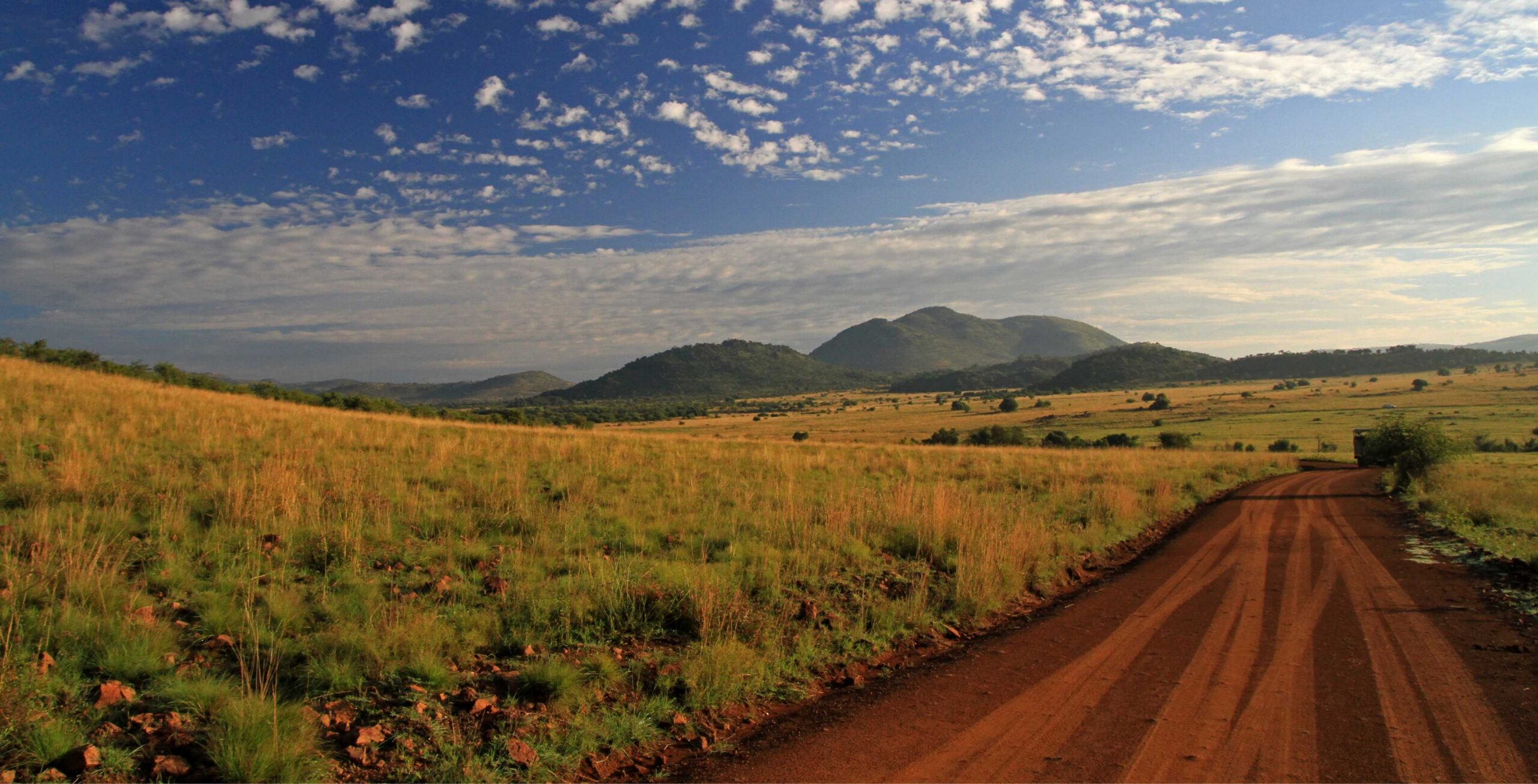 Parque Nacional Pilanesberg