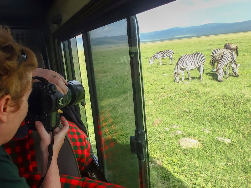 consejos fotografiar animales
