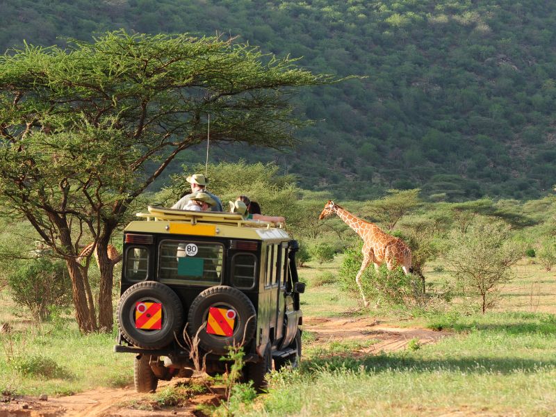 consejos para ser paciente en safaris