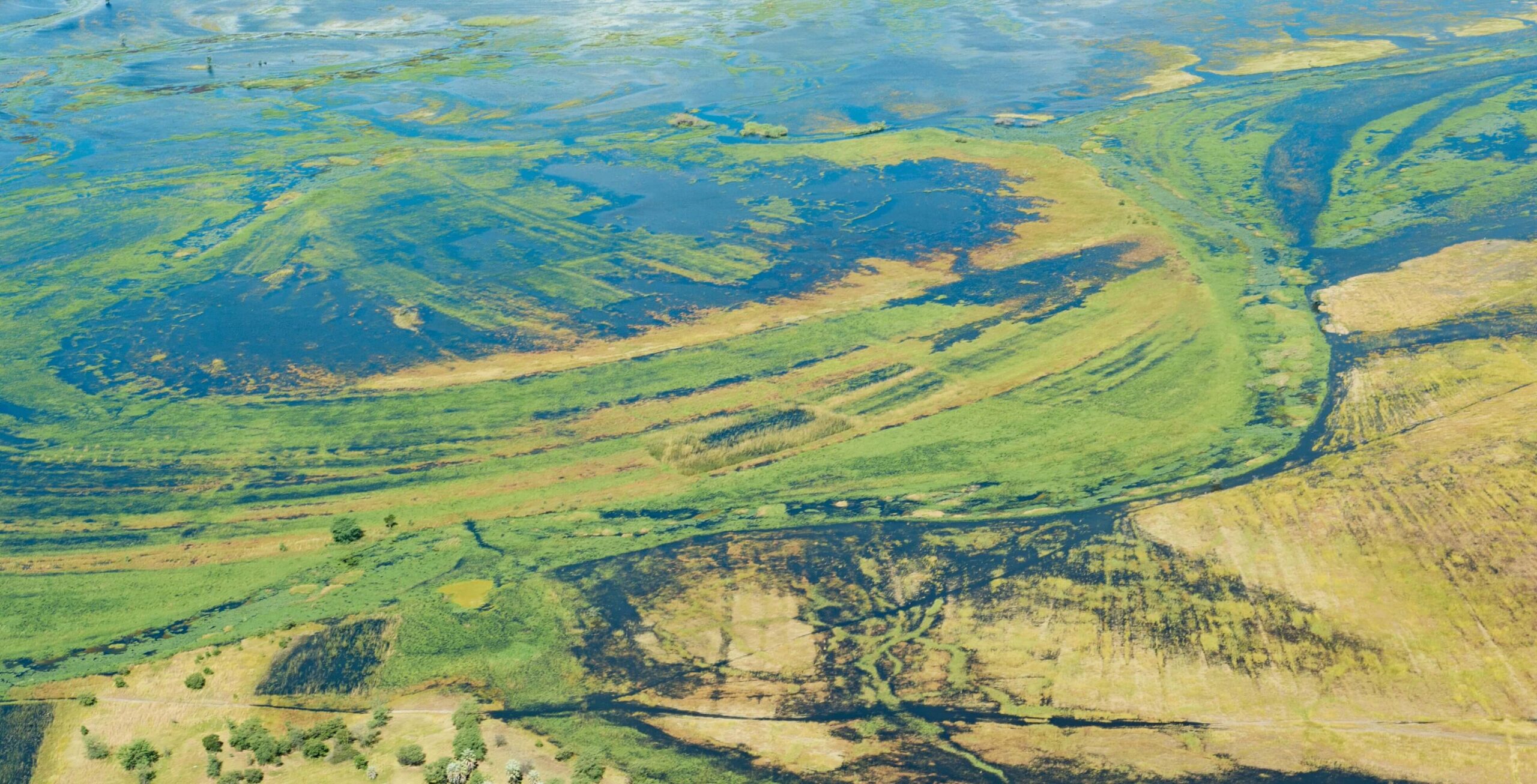 Vuelo de Savuti Marsh a Kasane