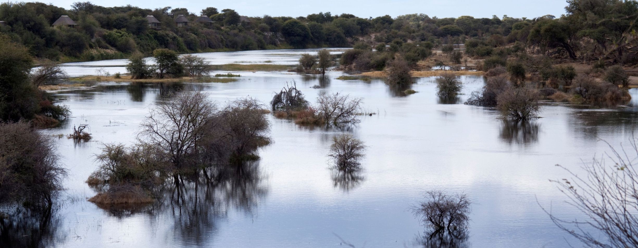 Vuelo de Maun al río Boteti en el Parque Nacional de Makgadikgadi Pans