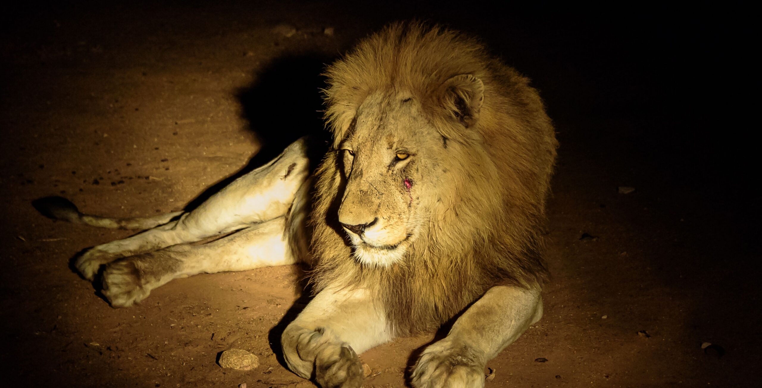 Taita Hills Wildlife Sanctuary y LUMO Conservancy