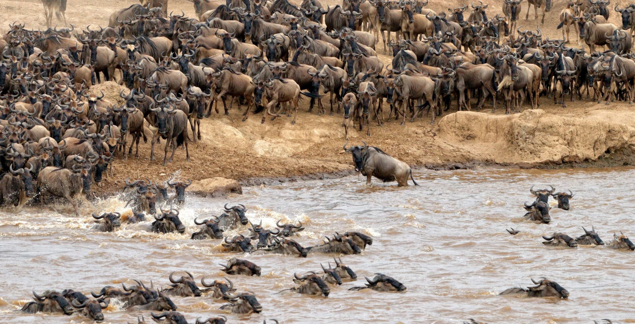 Reserva Nacional de Masai Mara