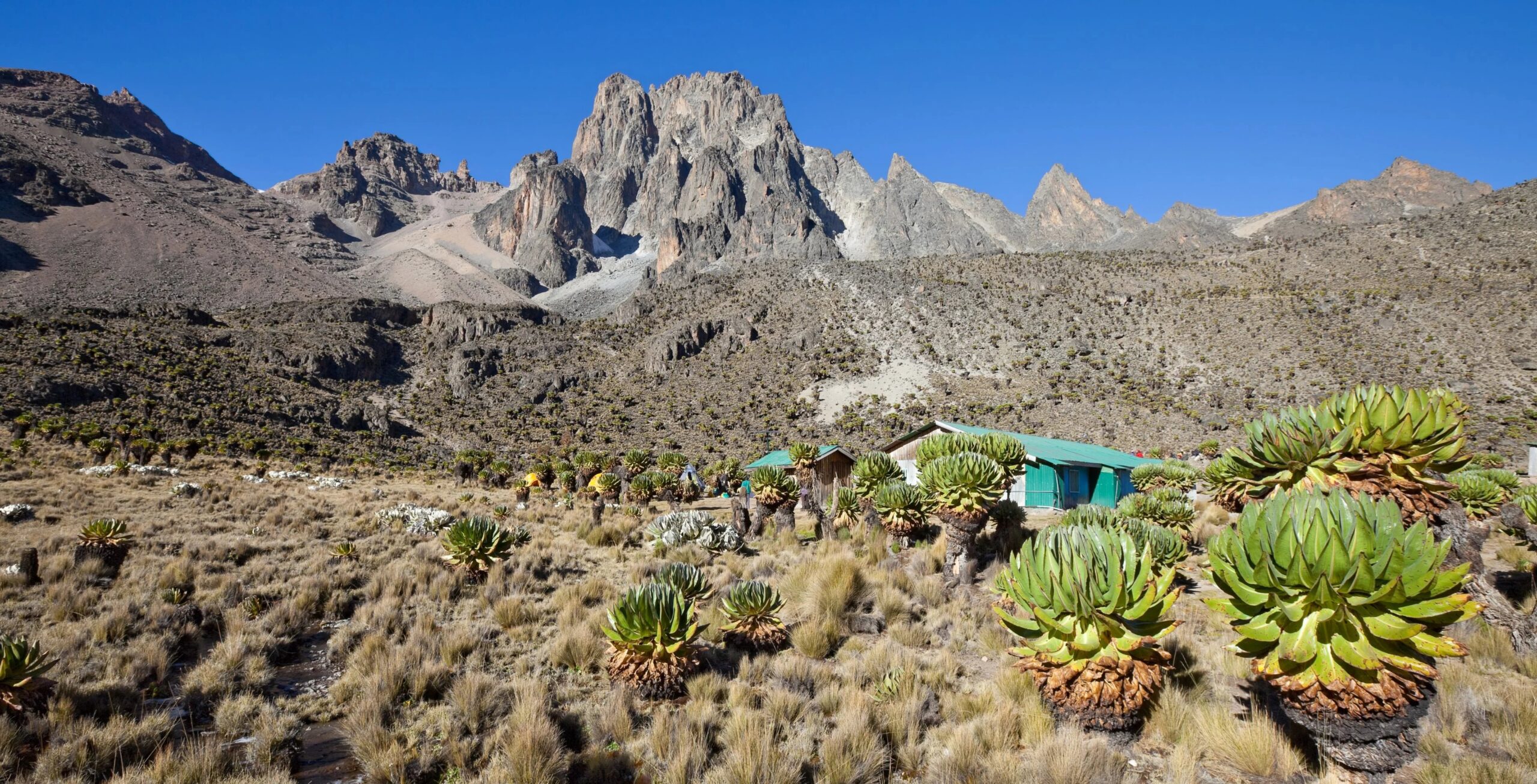 Monte Kenia por la Ruta Sirimon (2/5) | Old Moses Camp (3340 m) - Shipton's Camp (4200 m)