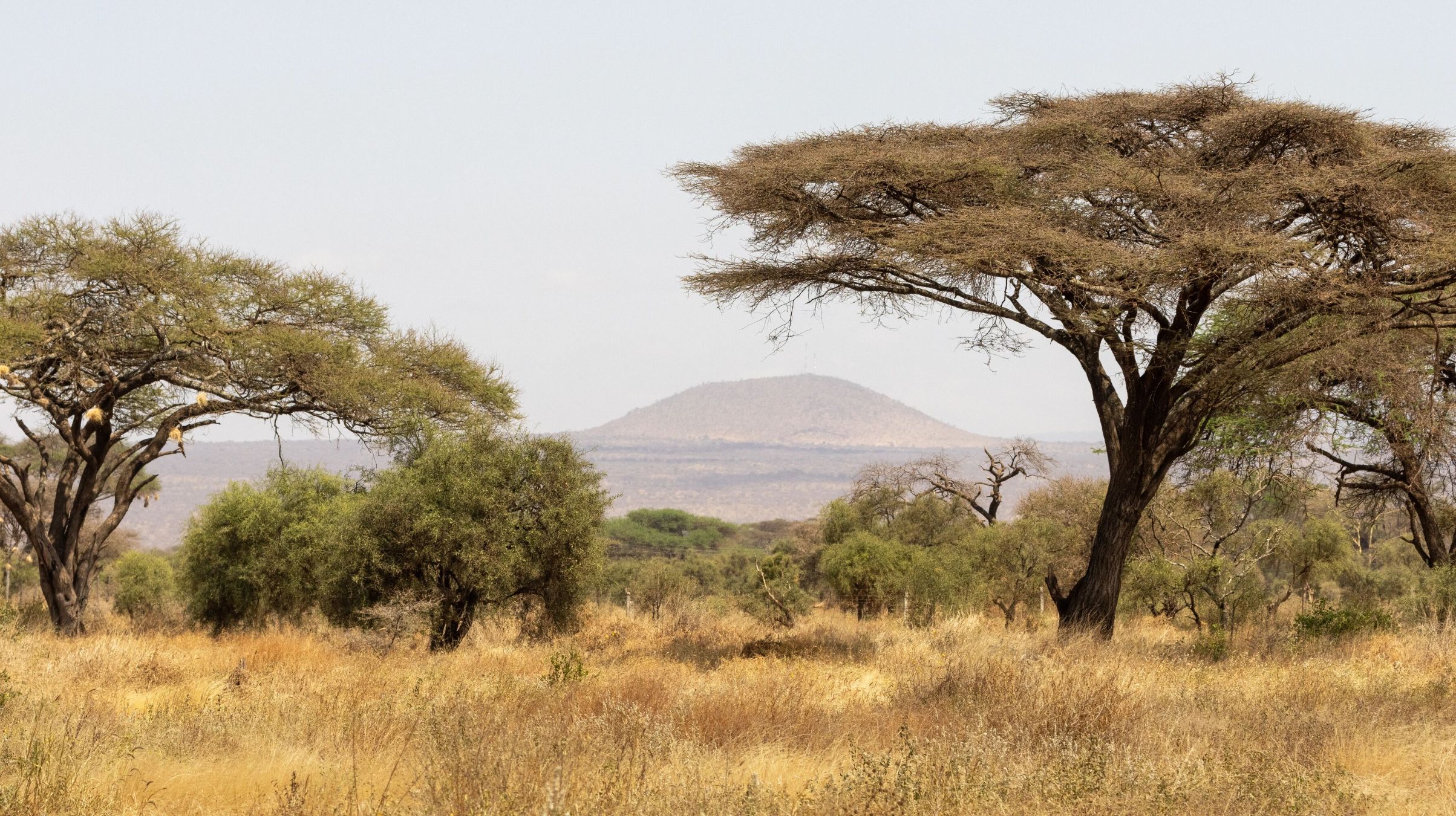 Trayecto desde el Parque Nacional Tsavo West hasta el Parque Nacional Amboseli