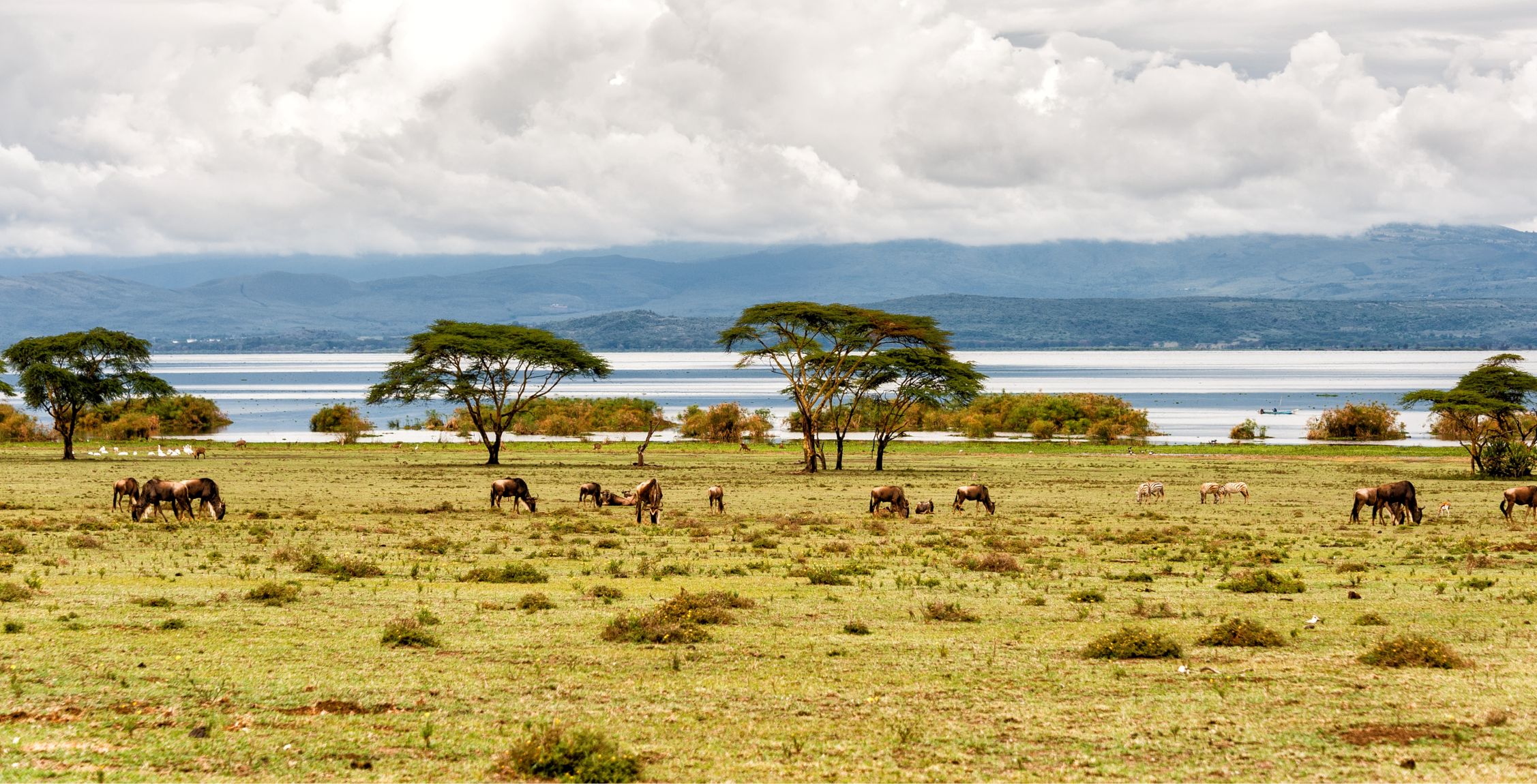 Trayecto de Solio Conservancy al lago Naivasha