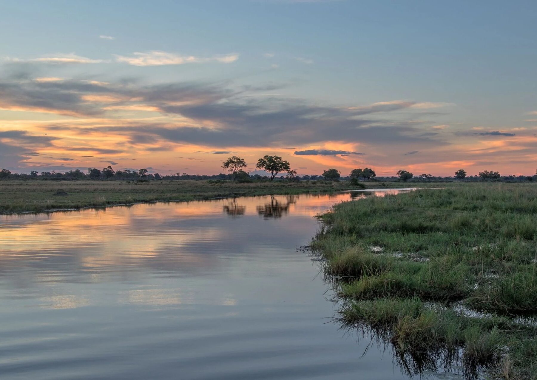 El río del delta del Okavango, rodeado de vegetación, al amanecer