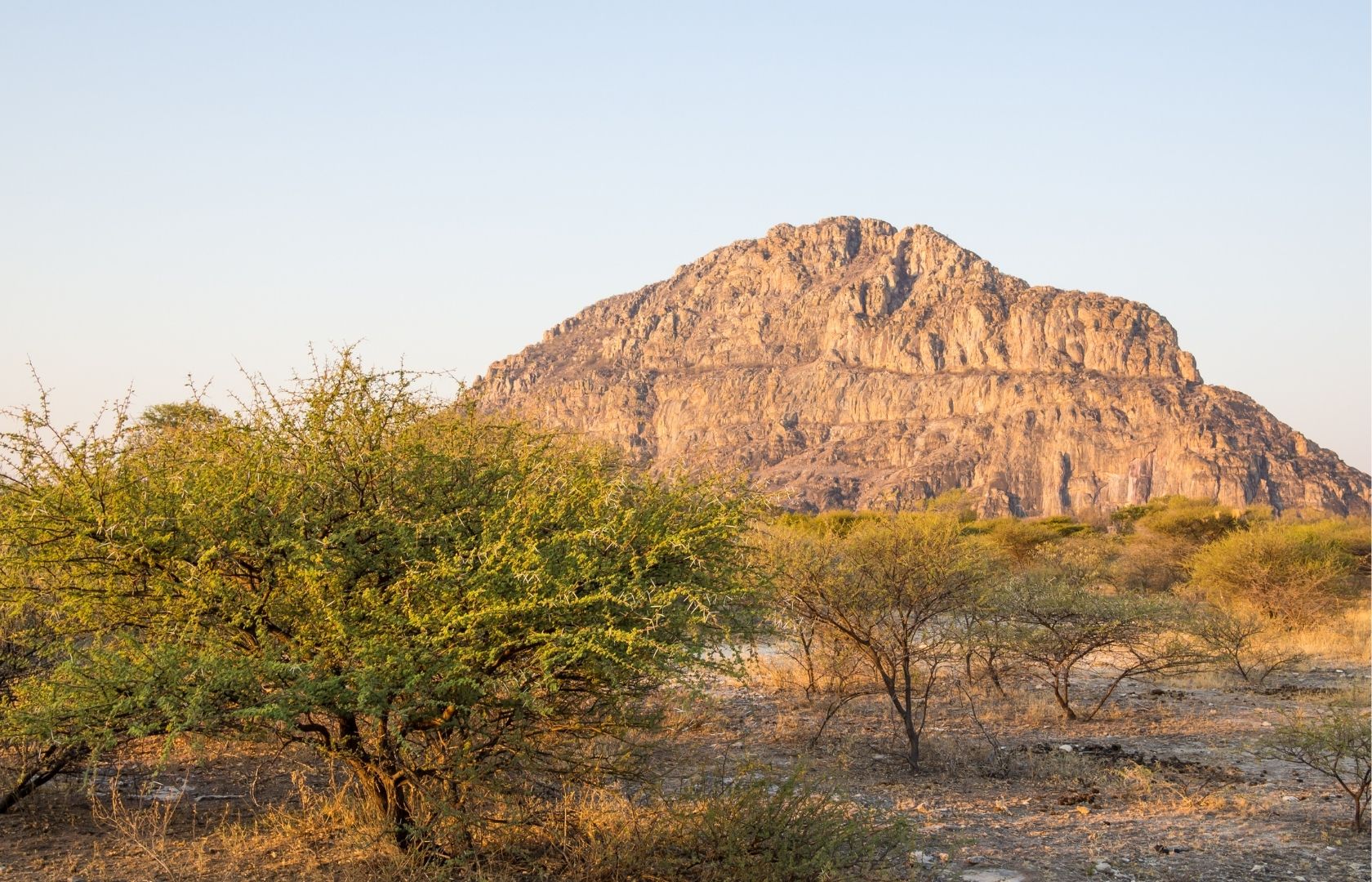 Roca de las colinas de Tsodilo con árboles verdes al fondo