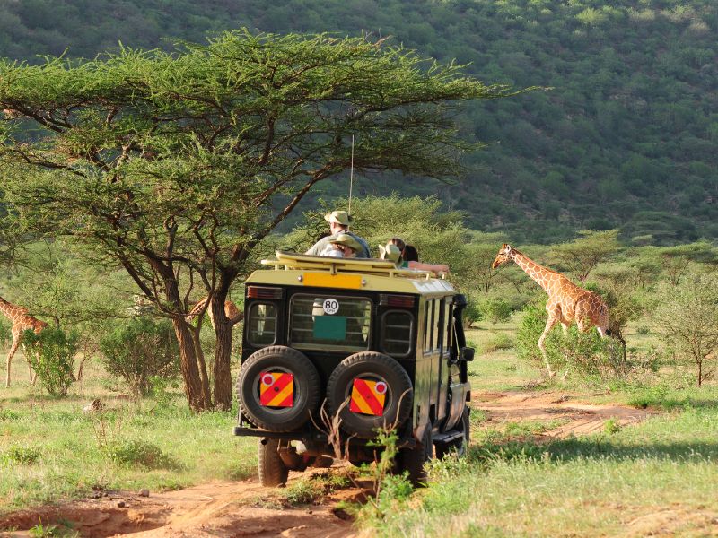consejos para safari en verano