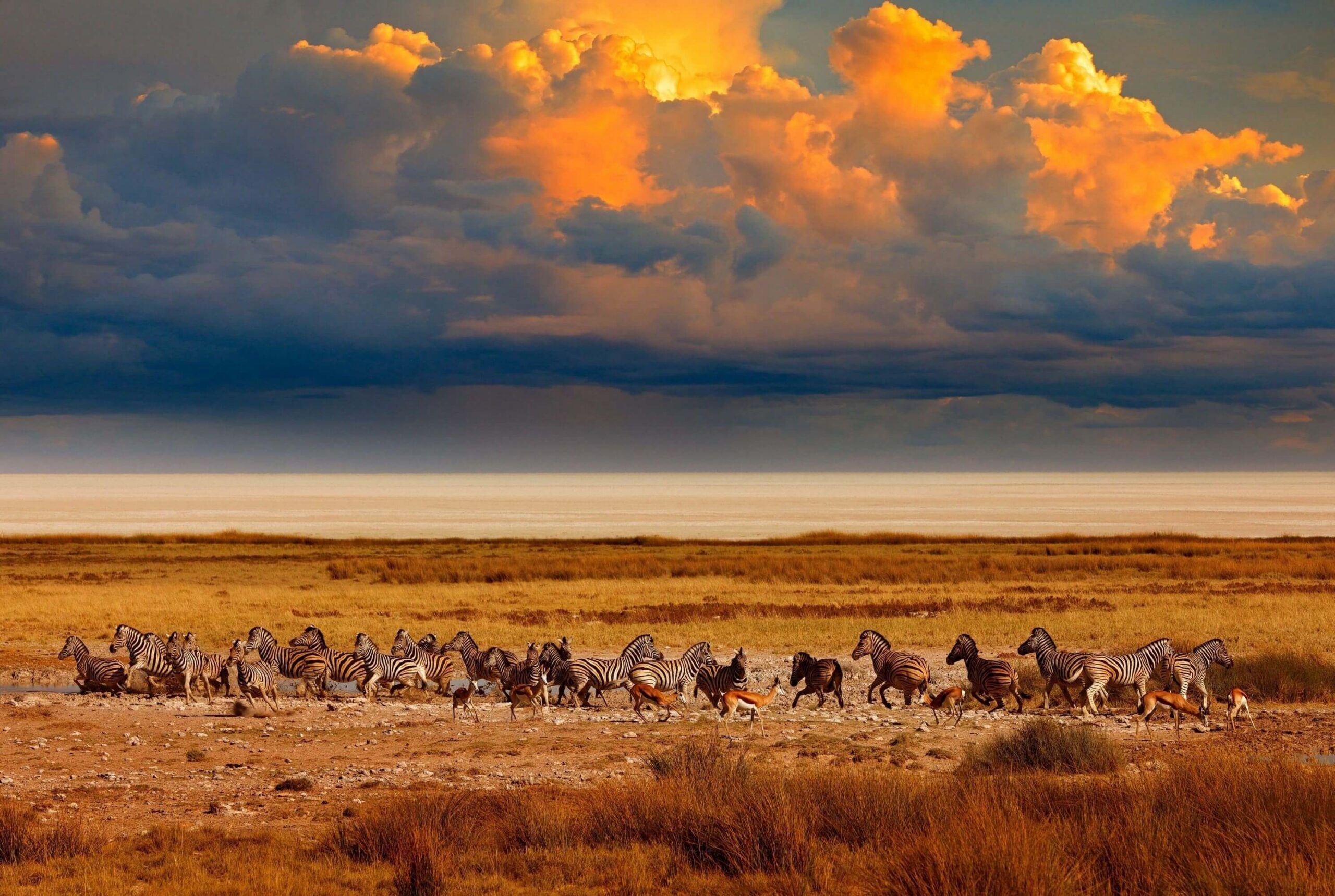 Parque Nacional Etosha