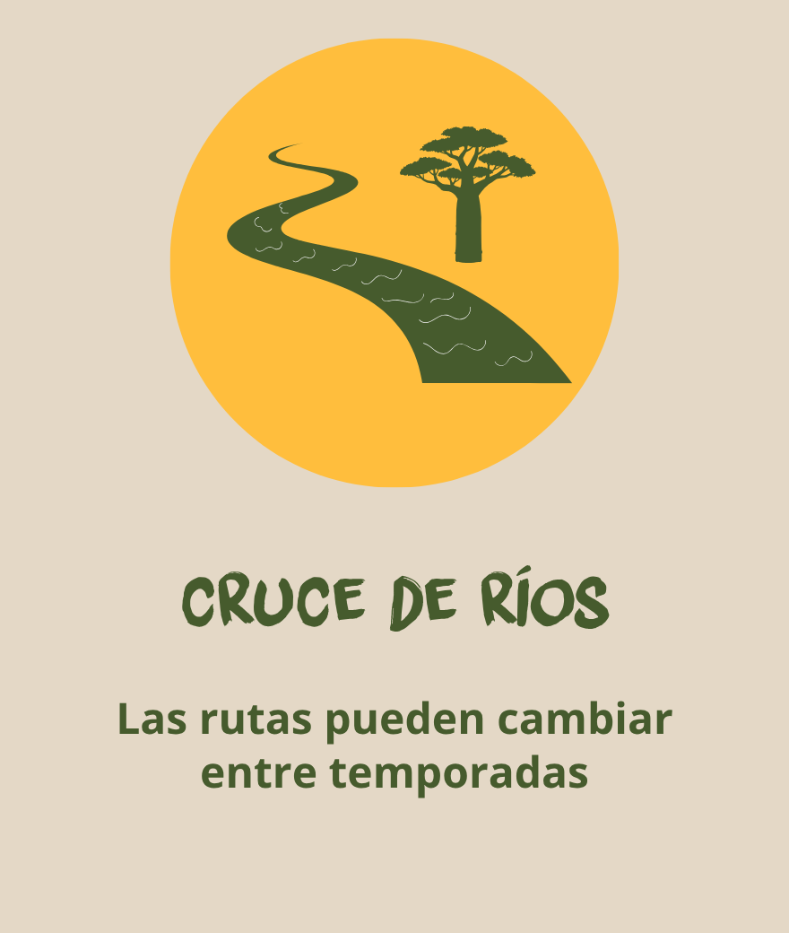 Cruce de ríos en Botsuana, donde las rutas de safari pueden cambiar según la temporada.