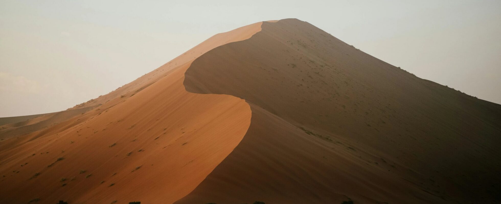 La columna sinuosa de una duna de Sossusvlei