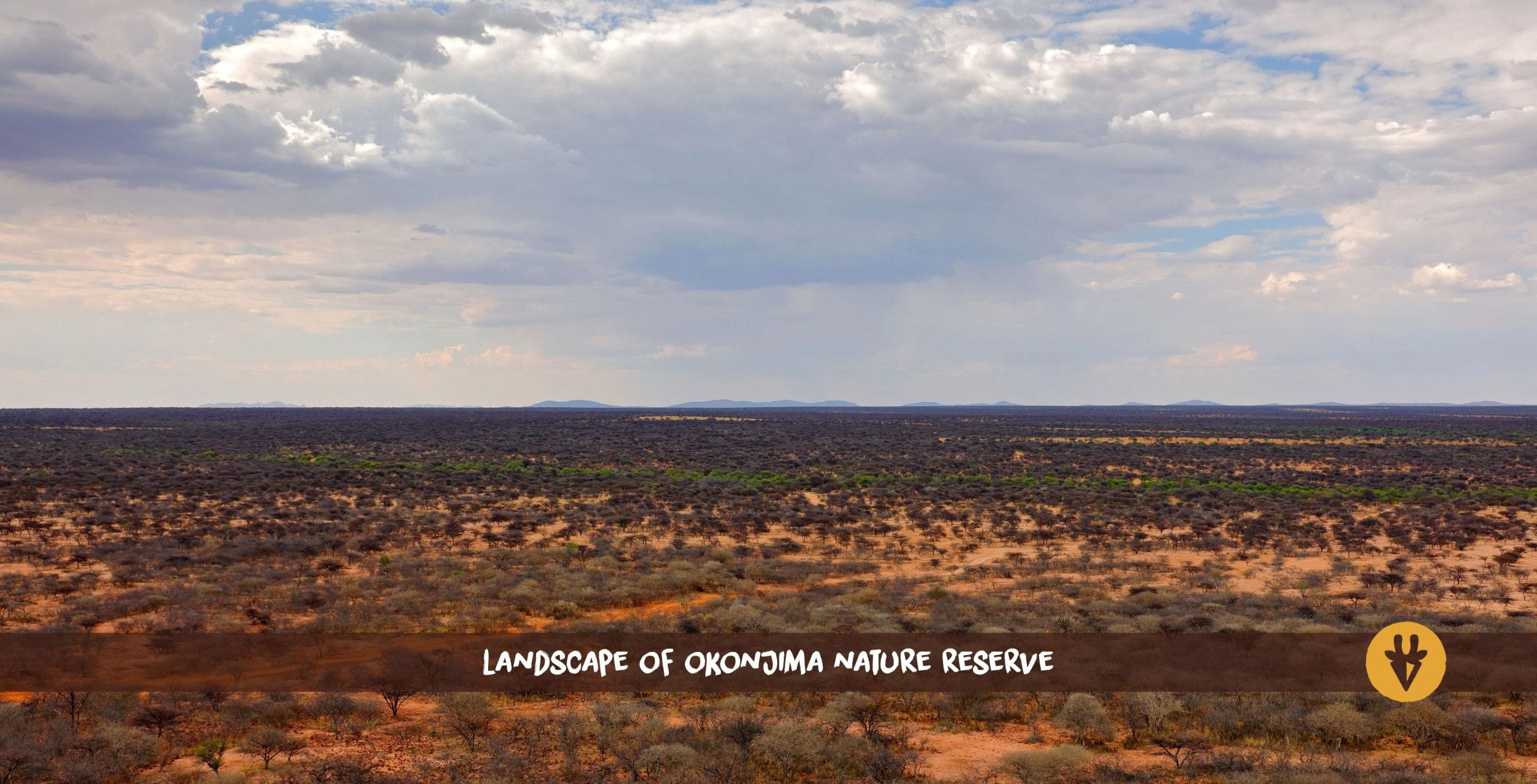 Vista aérea del paisaje de la Reserva Natural de Okonjima, Namibia, con arbustos y árboles