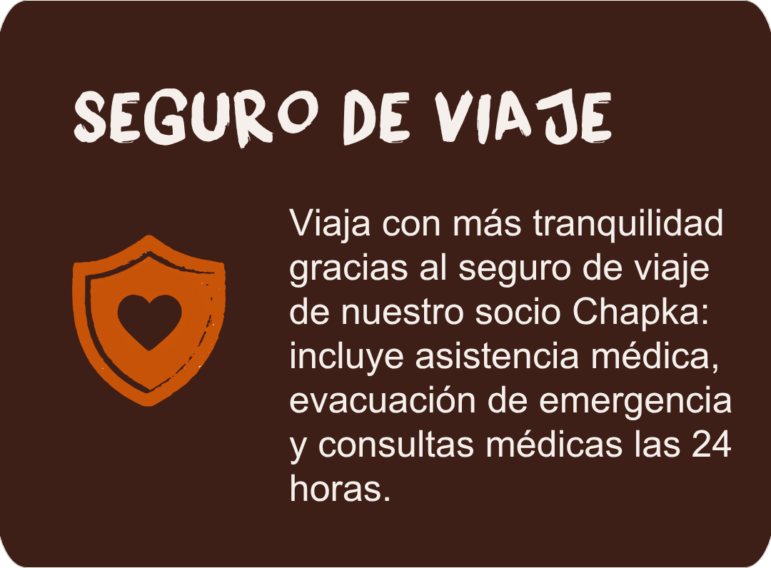 Travel and medical insurance