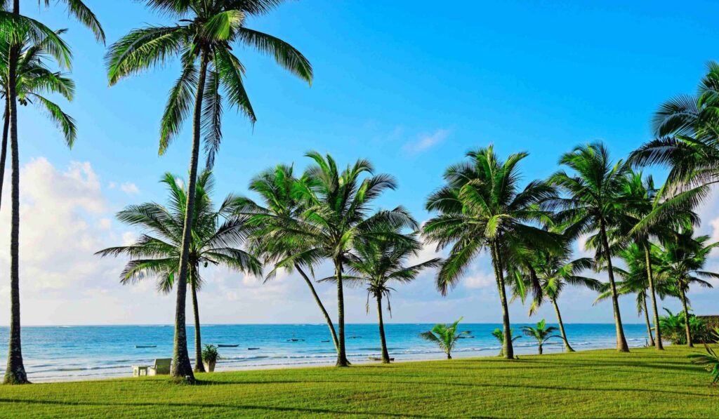 Diani Beach 4