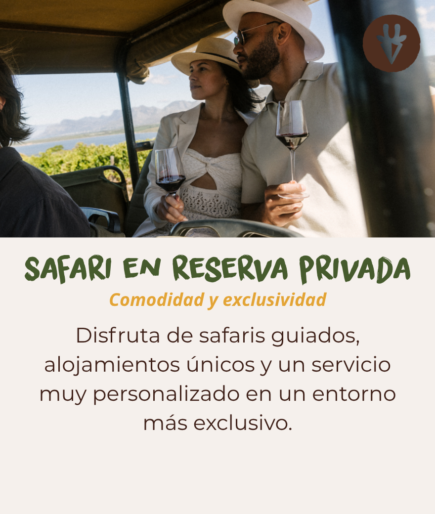 Safari en una reserva privada con recorridos guiados, alojamientos íntimos y servicio personalizado.