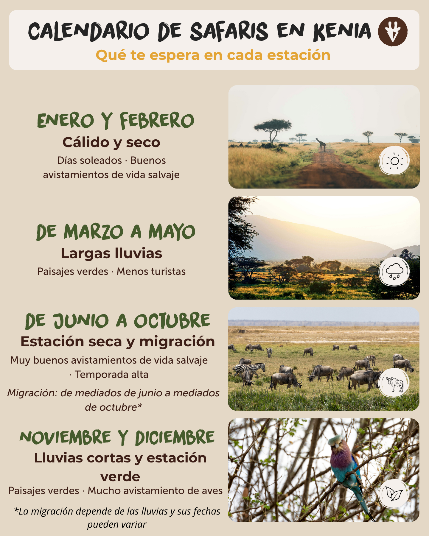 Calendario de safaris en Kenia que muestra la estación seca y cálida, la temporada de lluvias largas, la temporada de migración, la temporada de lluvias cortas y el periodo de la Gran Migración desde mediados de julio hasta mediados de octubre.