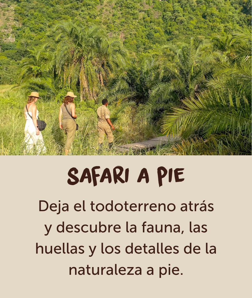 Viajeros que exploran el verde paisaje de Uganda en un safari a pie con guía.