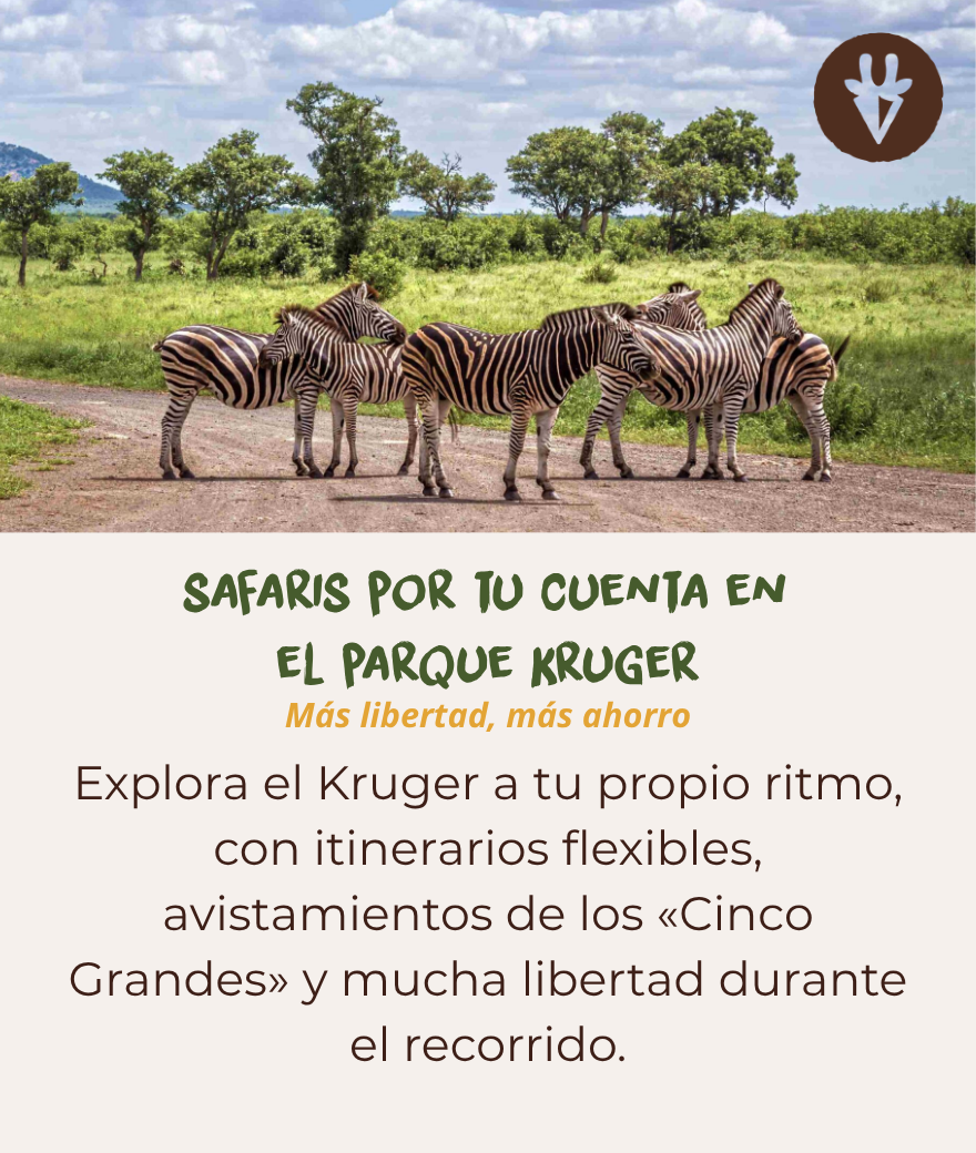 Safari por cuenta propia en Kruger, ideal para disfrutar de libertad, una buena relación calidad-precio y explorar a tu propio ritmo.